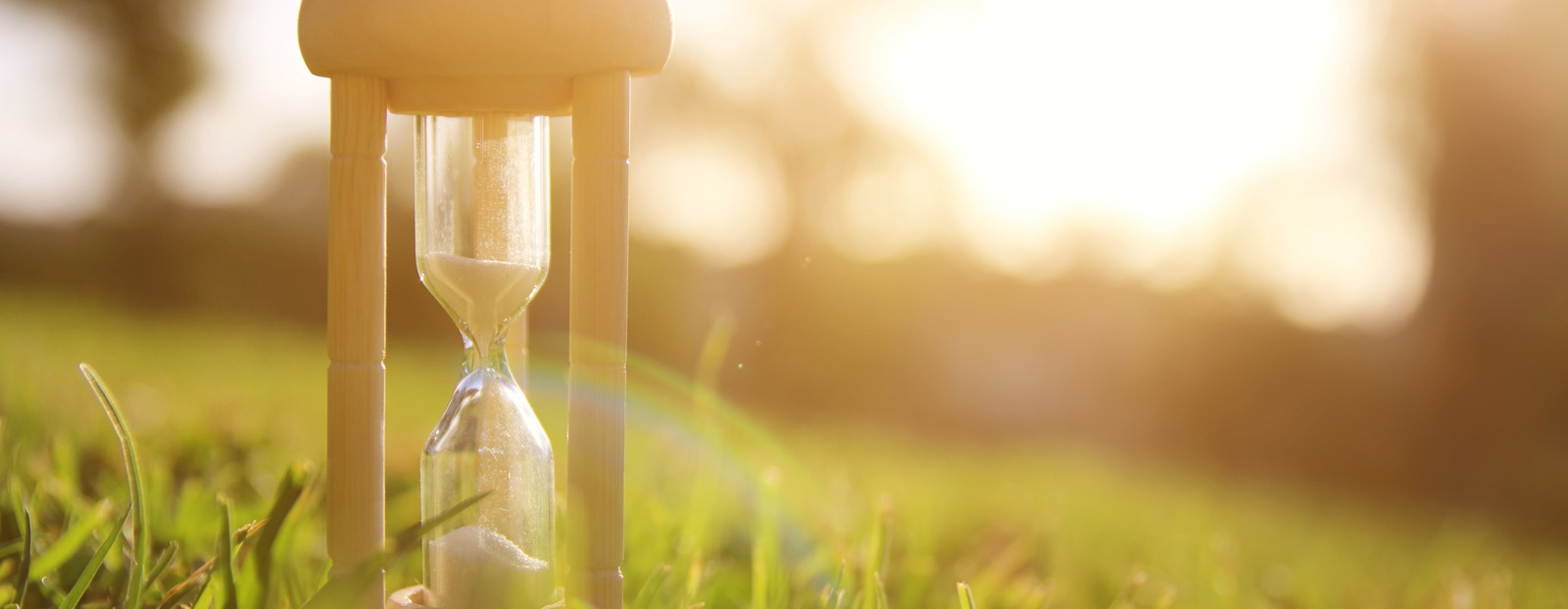 Kundendienst & Wartung